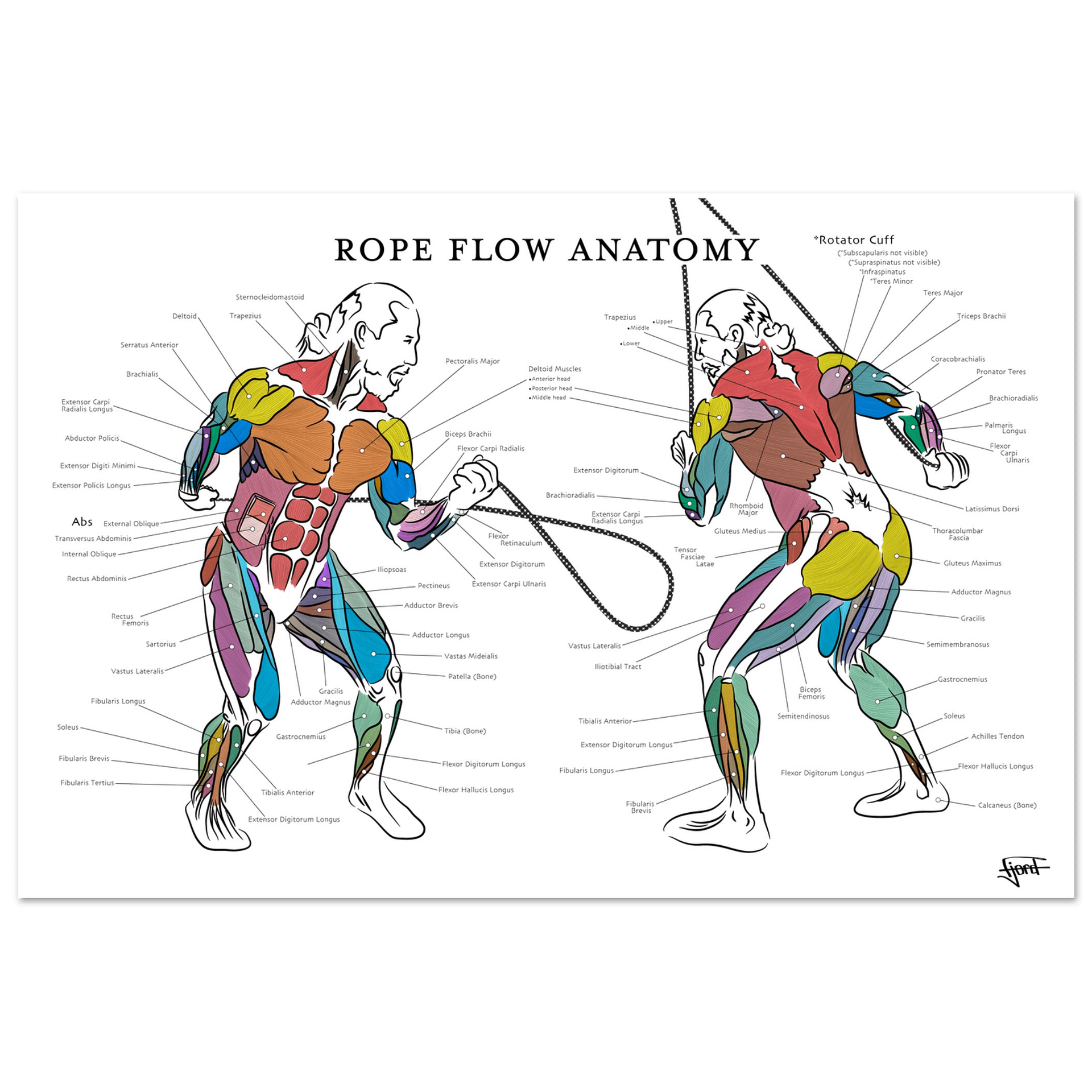 Hippy Rope Flow Rope Flow